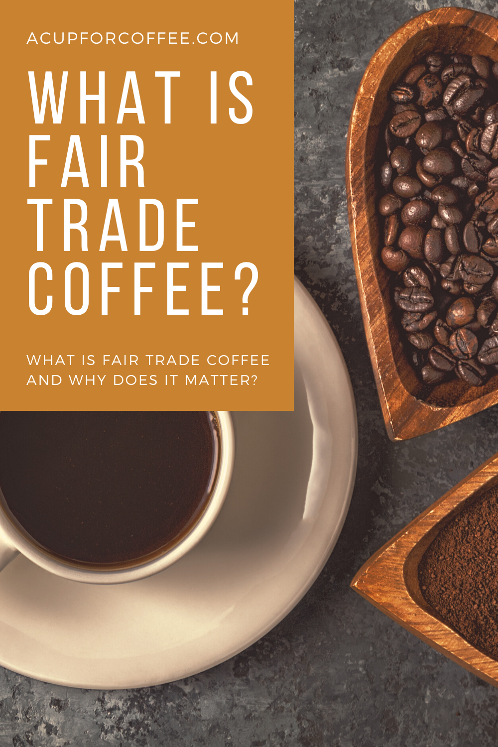 fair trade case study coffee